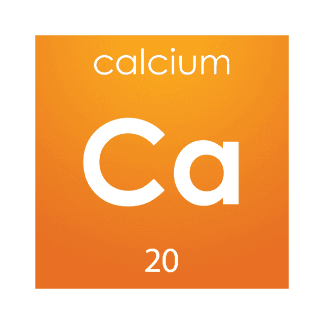 Calcium Image