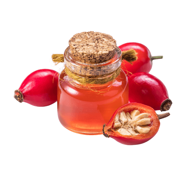 Rosehips Extract Image